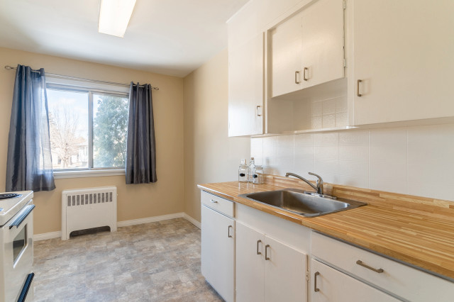 11615 113 ave -  Character 1 Bedroom Suite in a Quiet Location in Long Term Rentals in Edmonton - Image 3