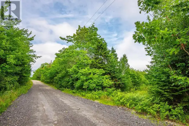 Lot, Hamilton Road Pleasant Valley, Nova Scotia in Land for Sale in Yarmouth - Image 13