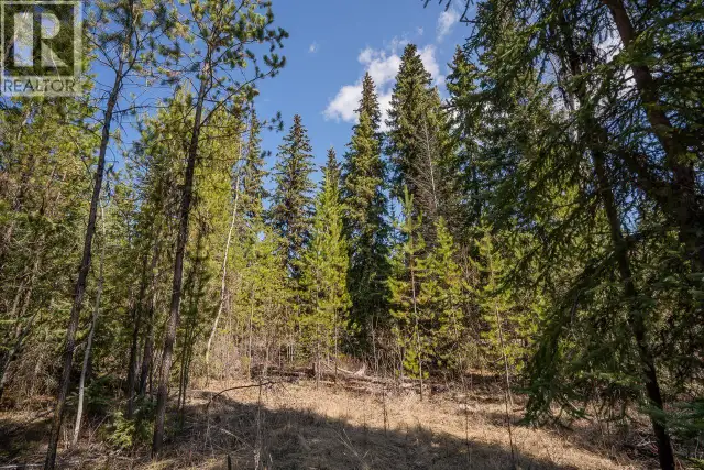 6301 ARCHIE MEADOW ROAD Forest Grove, British Columbia in Land for Sale in 100 Mile House - Image 12