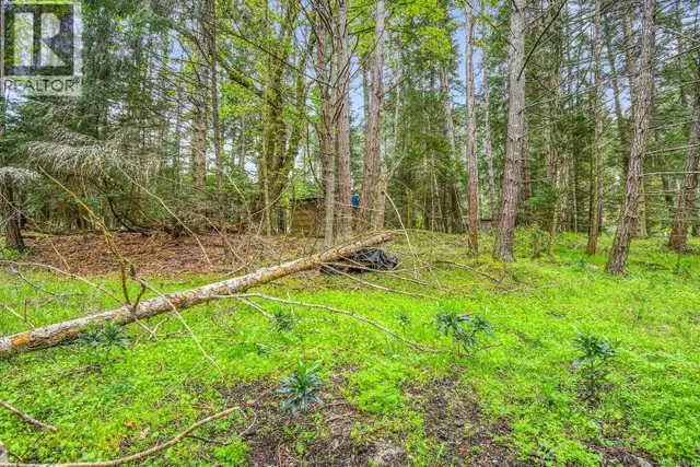 Lot 7 Driftwood Dr Mudge Island, British Columbia in Land for Sale in St. John's - Image 28