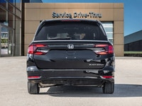2024 Honda Odyssey Black Edition | NO REPORTED ACCIDENTS | LOADED The 2024 Honda Odyssey Black Editi... (image 5)