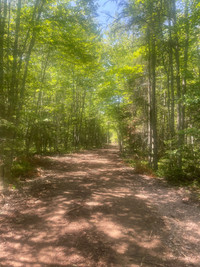 Cox Point Rd., Cumberland Bay (Waterfront)