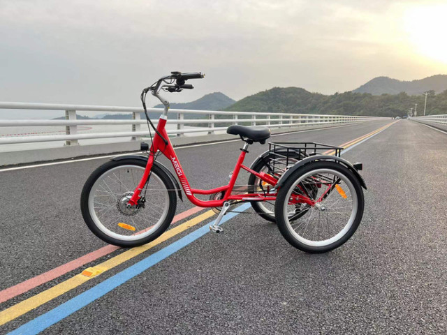 Meigi Hera Electric Trike 80 km Range Free Shipping Warranty in eBike in London