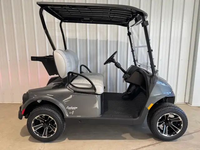 2026 EZGO RXV 2 FREEDOM in ATVs in Vernon - Image 5