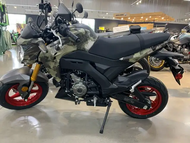 2025 Kawasaki Z125 PRO in Street, Cruisers & Choppers in Guelph - Image 4