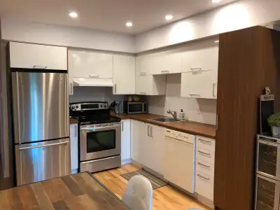 2 logements de 3 1/2 rénové 2017 rue Adam disponible 1e juillet