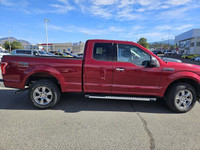 KBB.com Brand Image Awards. Only 33,843 kms! Dealer Certified Pre-Owned. This Ford F-150 boasts a Re... (image 1)