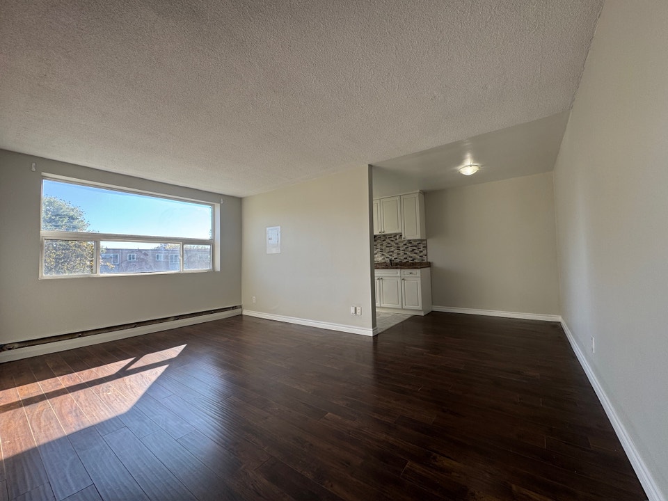 Updated 1 Bedroom & 1 Bathroom Apartment! 2