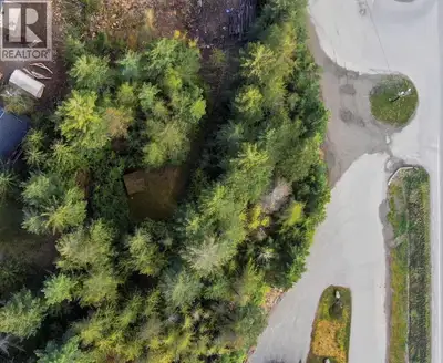Opportunity awaits in Kaslo Village with this semi-timbered lot offering excellent development poten...