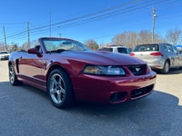 WHY THIS COBRA IS NEXT LEVEL: SVT COBRA TERMINATOR Supercharged, iconic, and getting harder to find... (image 3)