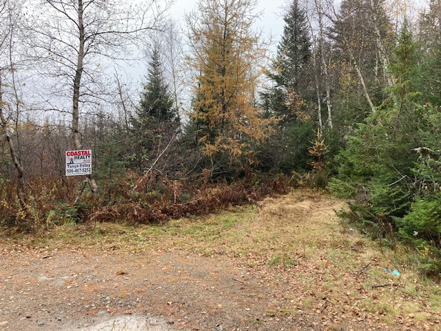 Large  Woodland parcel in Lynnfield on canoeable trout stream in Land for Sale in Saint John - Image 4