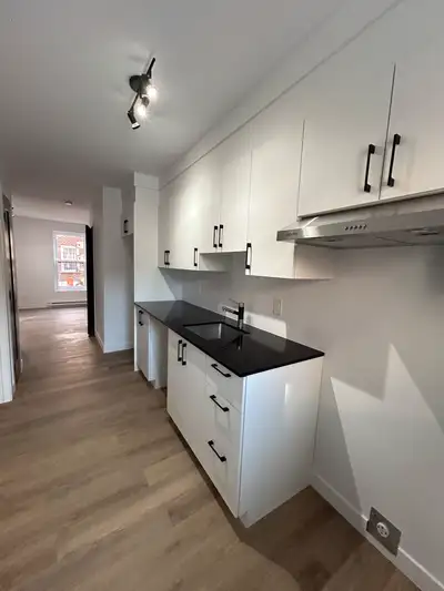 Magnifique 3 1/2, RÉNOVÉ rez de chaussé Juillet