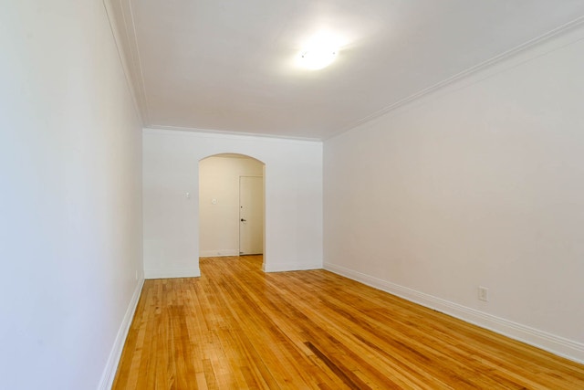 4585 Av. Dupuis — photo 3