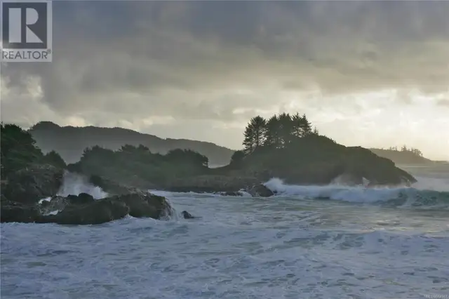 871 Moser Pl Tofino, British Columbia628637709463061220