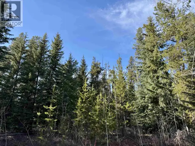 LOT A 3840 BRYAN ROAD Valemount, British Columbia in Land for Sale in Quesnel - Image 8