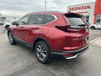 Protection pkg, all weather mats, trunk tray, sunroof, Apple CarPlay, Android Auto, backup camera, h... (image 6)