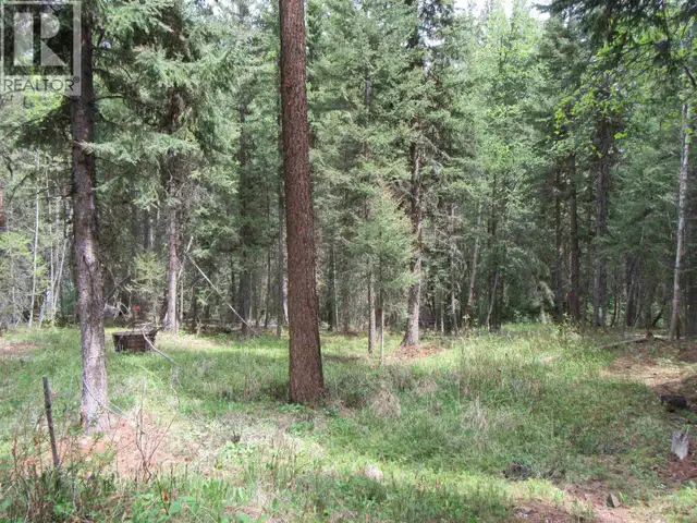 LOT 81 JULSRUD ROAD Deka Lake / Sulphurous / Hathaway Lakes, Bri in Land for Sale in 100 Mile House - Image 14