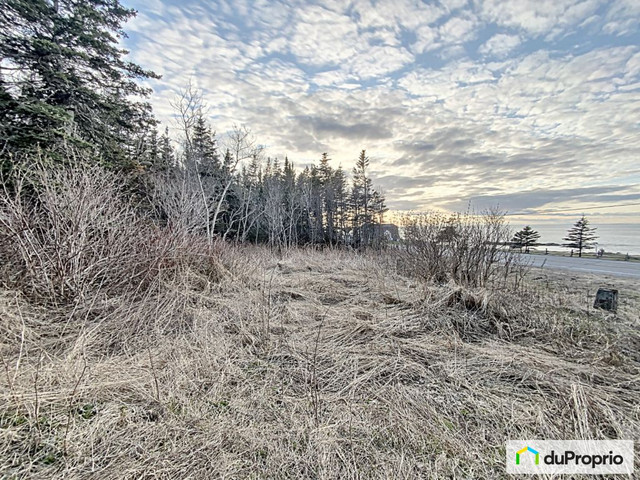 140 000$ - Terrain résidentiel à vendre à Métis-Sur-Mer dans Terrains à vendre  à Rimouski / Bas-St-Laurent - Image 4