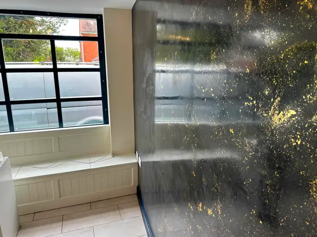 PAINTING SERVICES in Painters & Painting in Trenton - Image 11