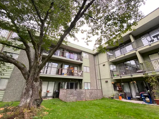 Newton Apartment For Rent | Cedartree Village in Long Term Rentals in Delta/Surrey/Langley - Image 4