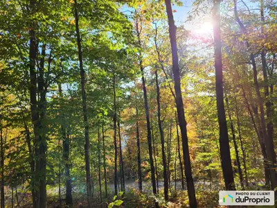 TERRAIN LOT 4 943 645 MAGNIFIQUE TERRAIN DE 2 ACRES, VUE SUR LE LAC AVEC ARBRES MATURES. SITUÉ DANS...