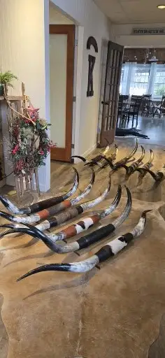 Mounted Horns for Sale!, View more