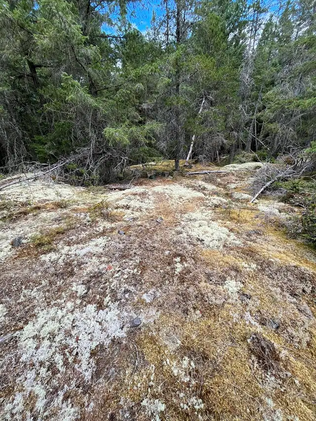 GULF ISLAND BC– OFF-GRID LAND STEWARDSHIP & LIVING OPPORTUNITY in Storage & Parking for Rent in Nanaimo - Image 9