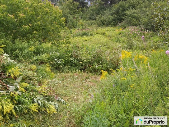 $87,500 - Residential Lot for sale in St-Côme — photo 2
