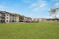 Modern apartments for rent in Port Alberni, BC at Portview Landing! This rental community has 1, 2,... (image 4)
