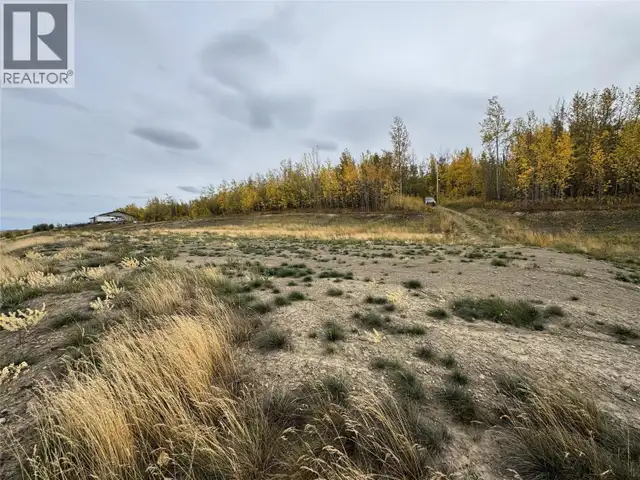 206 Road Lot# 4 Dawson Creek, British Columbia in Land for Sale in Dawson Creek - Image 4