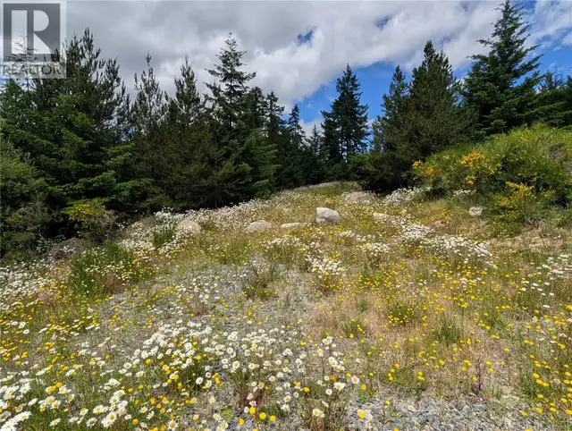 Lot 1 Eagle Vista Rd Shawnigan Lake, British Columbia in Land for Sale in Victoria - Image 8
