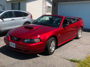 2004 Ford Mustang -