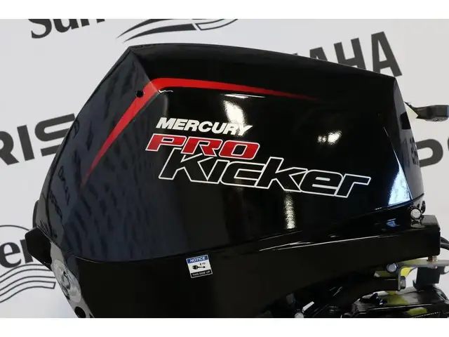 2026 Mercury 15EXLPT PK EFI DEMARREUR ELECTRIQUE, PIED X-LONG (2 in Powerboats & Motorboats in Laurentides - Image 3