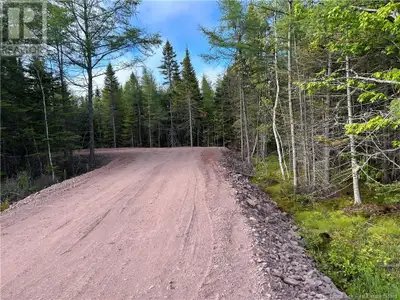 Ce terrain de plus ou moins 198' de façade x 144' de profondeur, se situant à deux minutes de la rou...