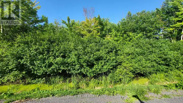 00 TOLMIES CORNERS ROAD North Stormont, Ontario in Land for Sale in Cornwall - Image 2