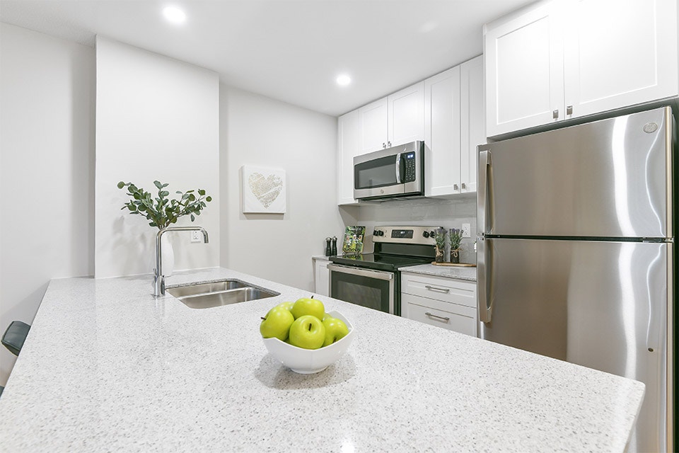 Two Bedroom Apartment for Rent near Britannia Beach! Long Term