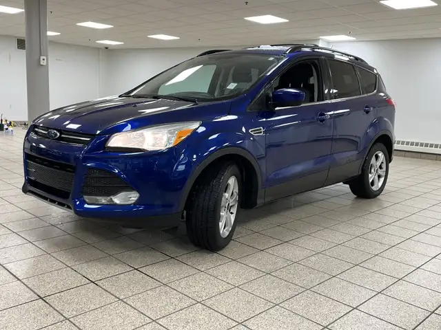 2013 Ford Escape SE602770006963005441