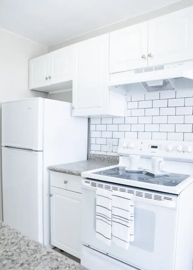 ALL INCLUSIVE - Silverbirch Apts 1BR in Waterloo in Long Term Rentals in Kitchener / Waterloo - Image 7