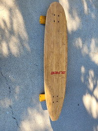 Bahne rasta Skateboard longboard 44 inch