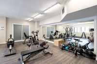 Visit our Website: https://www.capreit.ca/apartments-for-rent/halifax-ns/spring-garden/ Located clos... (image 2)
