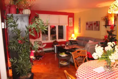 Beau grand 3 1/2 sur la rue J.-A.-Vincent Secteur de choix, très tranquille. Le logement est à aire...