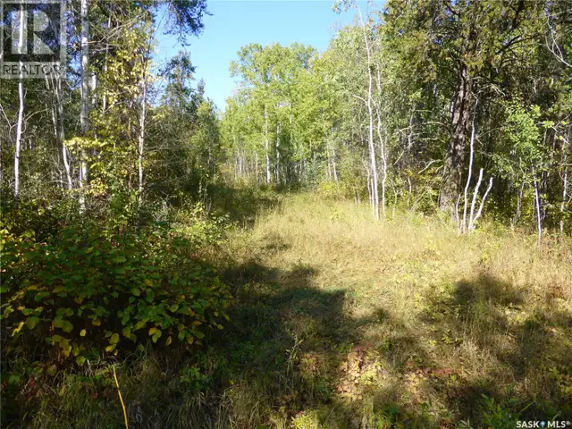 Henry full quarter with home north of, Turtle Lake Mervin Rm No. in Houses for Sale in Prince Albert - Image 23