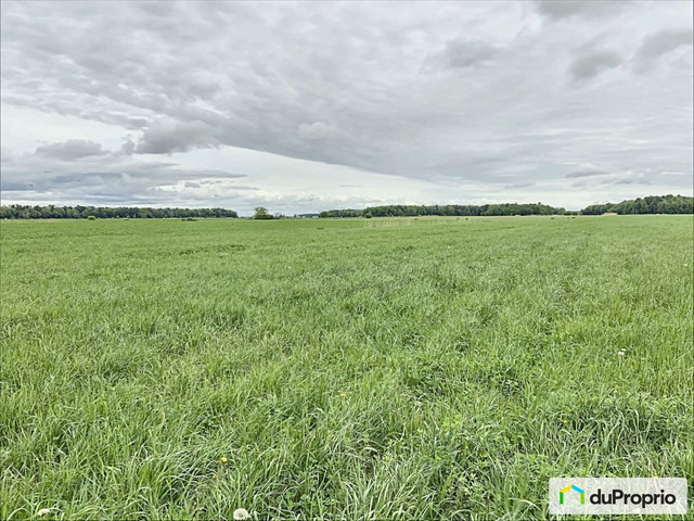 750 000$ - Terre agricole à vendre à St-Gerard-Majella dans Terrains à vendre  à Saint-Hyacinthe