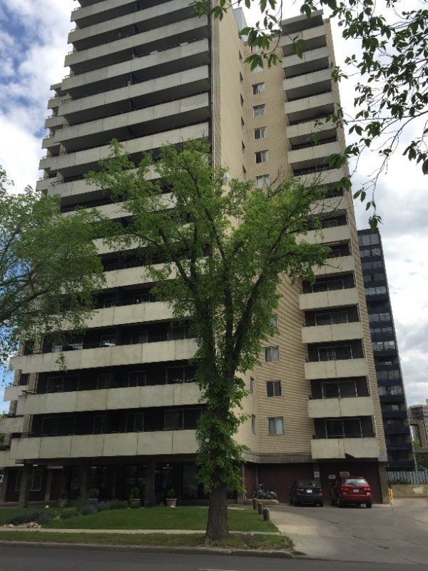 Downtown Bachelor Apartment for Rent Long Term Rentals Edmonton