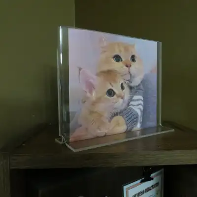Clear Acrylic Sign or Photo Holder, View more