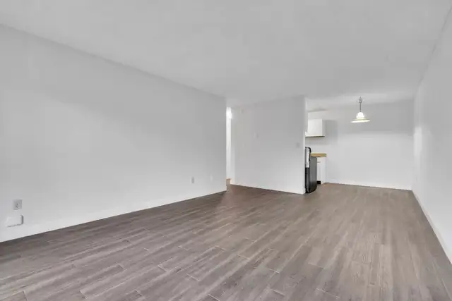 Dolphin Square Apartments - 2 Bedroom available at 8200 Park Roa in Long Term Rentals in Richmond - Image 13