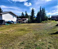 LOT FOR SALE IN SPARWOOD HEIGHTS!
