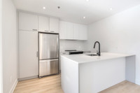 new/nouveau apartment for rent, logement locatif-à louer, 5.5, 5 1/2, 3 bedrooms/chambres, Outremont... (image 2)