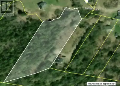 Nestled in the heart of Ingonish Centre, this 1.1-acre lot offers a prime location surrounded by the...