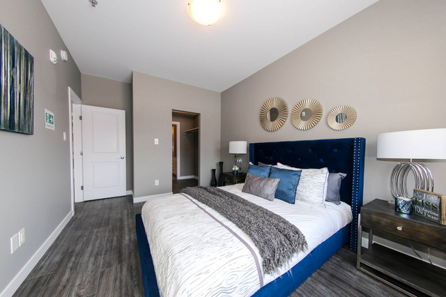 Edison - New 2-Bedroom Apartment for Rent in North Kildonan in Long Term Rentals in Winnipeg - Image 2